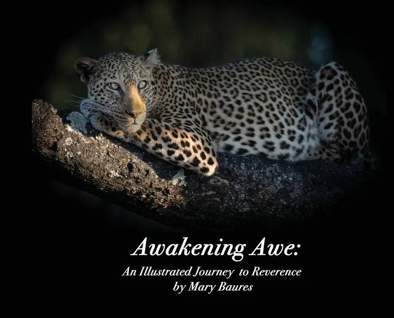 Awakening Awe: An Illustrated Journey to Reverence - Hardcover