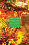 Spin Glasses and Complexity - Paperback