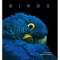 Birds - Hardcover