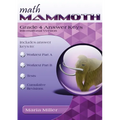 Math Mammoth Grade 4 Answer Keys, International Version - Paperback