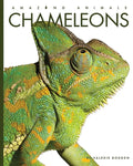 Chameleons - Paperback