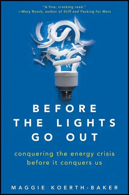 Before the Lights Go Out: Conquering the Energy Crisis Before It Conquers Us - Hardcover