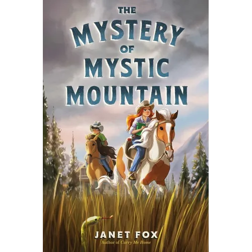The Mystery of Mystic Mountain - Hardcover