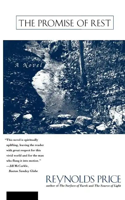 The Promise of Rest - Paperback