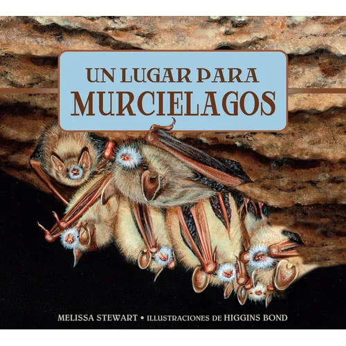 Un Lugar Para Los Murci駘agos - Paperback