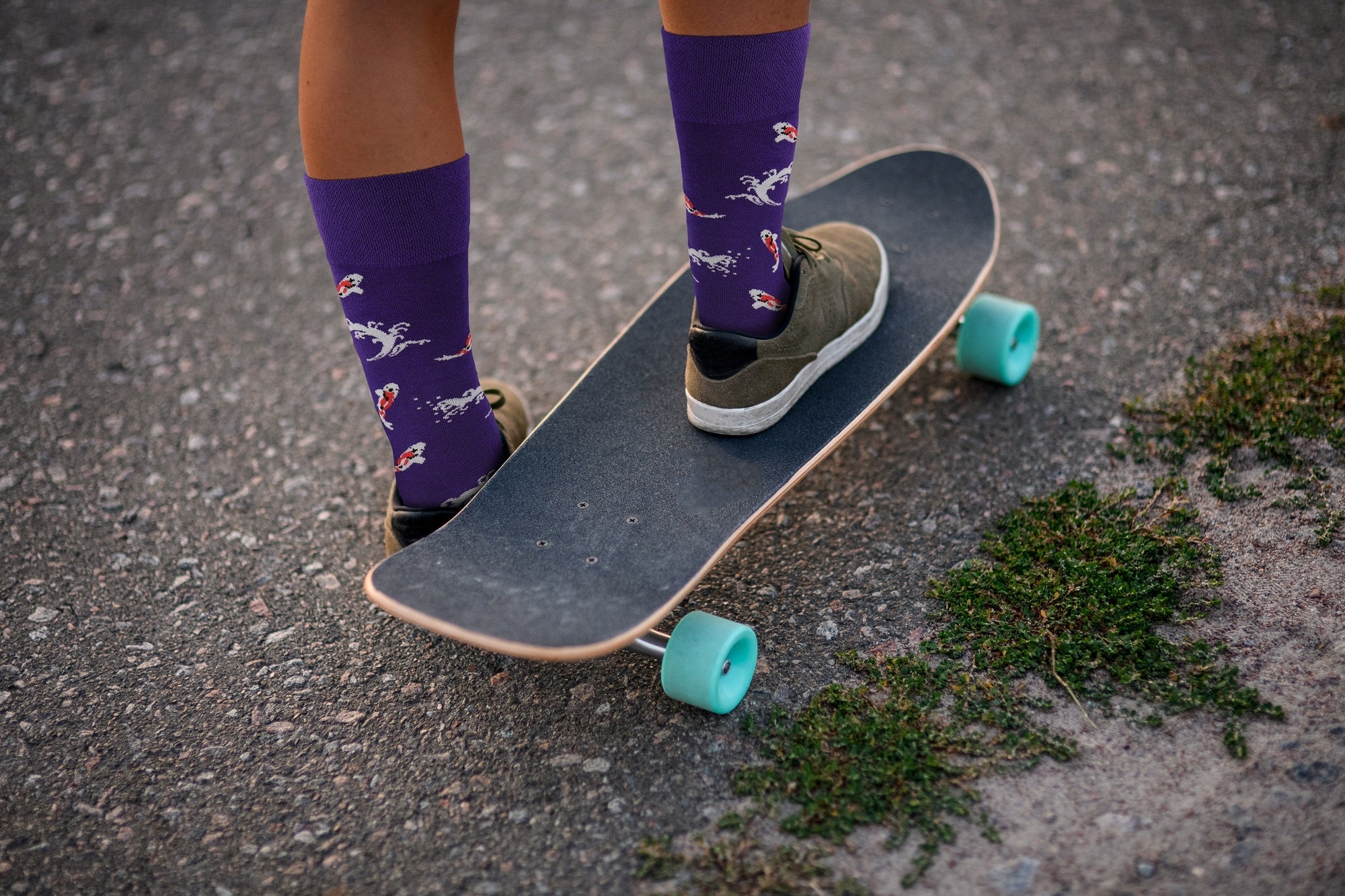 Animal Socks (Fish) - Comfy Cotton for Men & Women