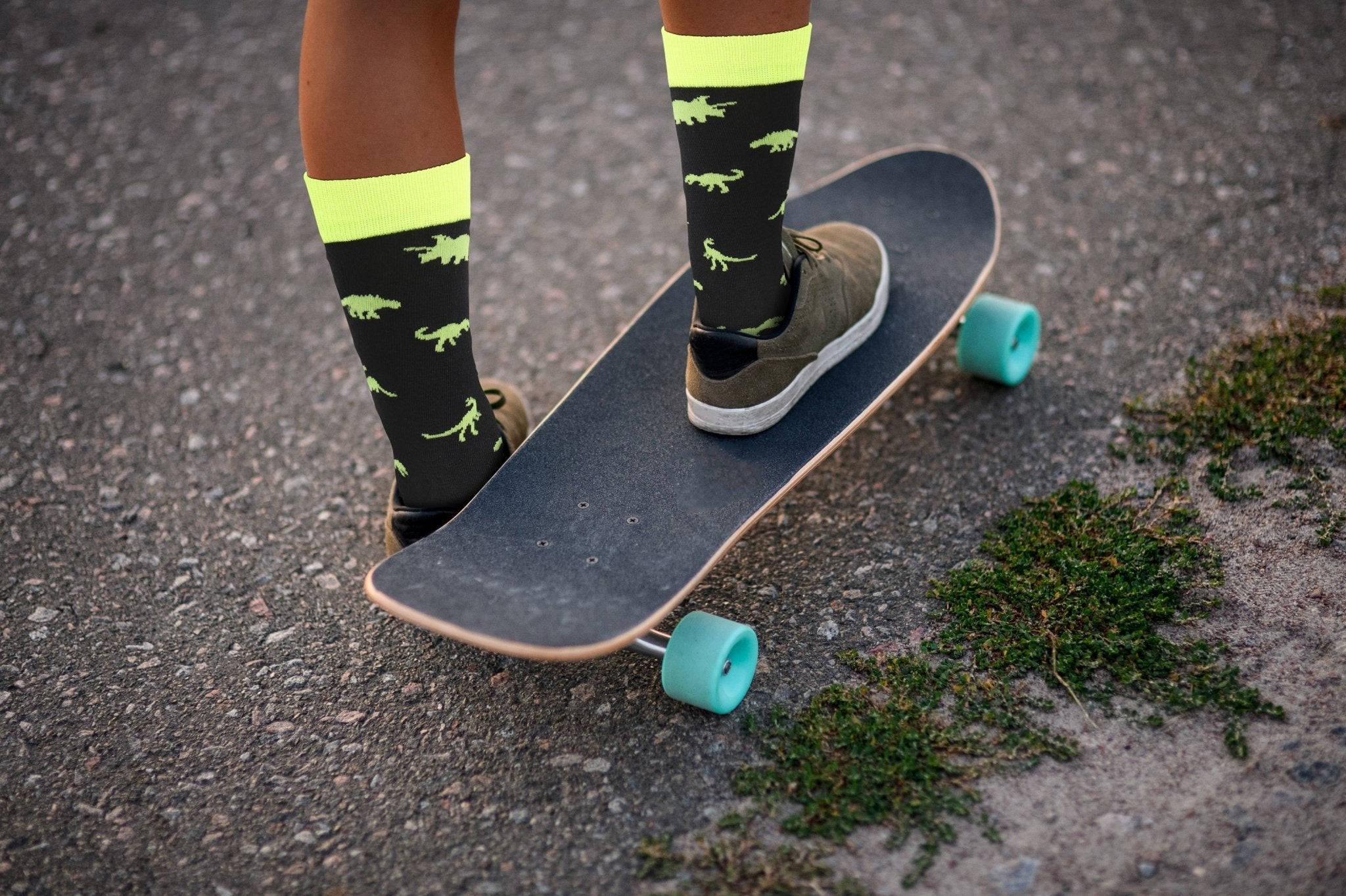 Dinosaur Socks - Comfy Cotton for Men & Women