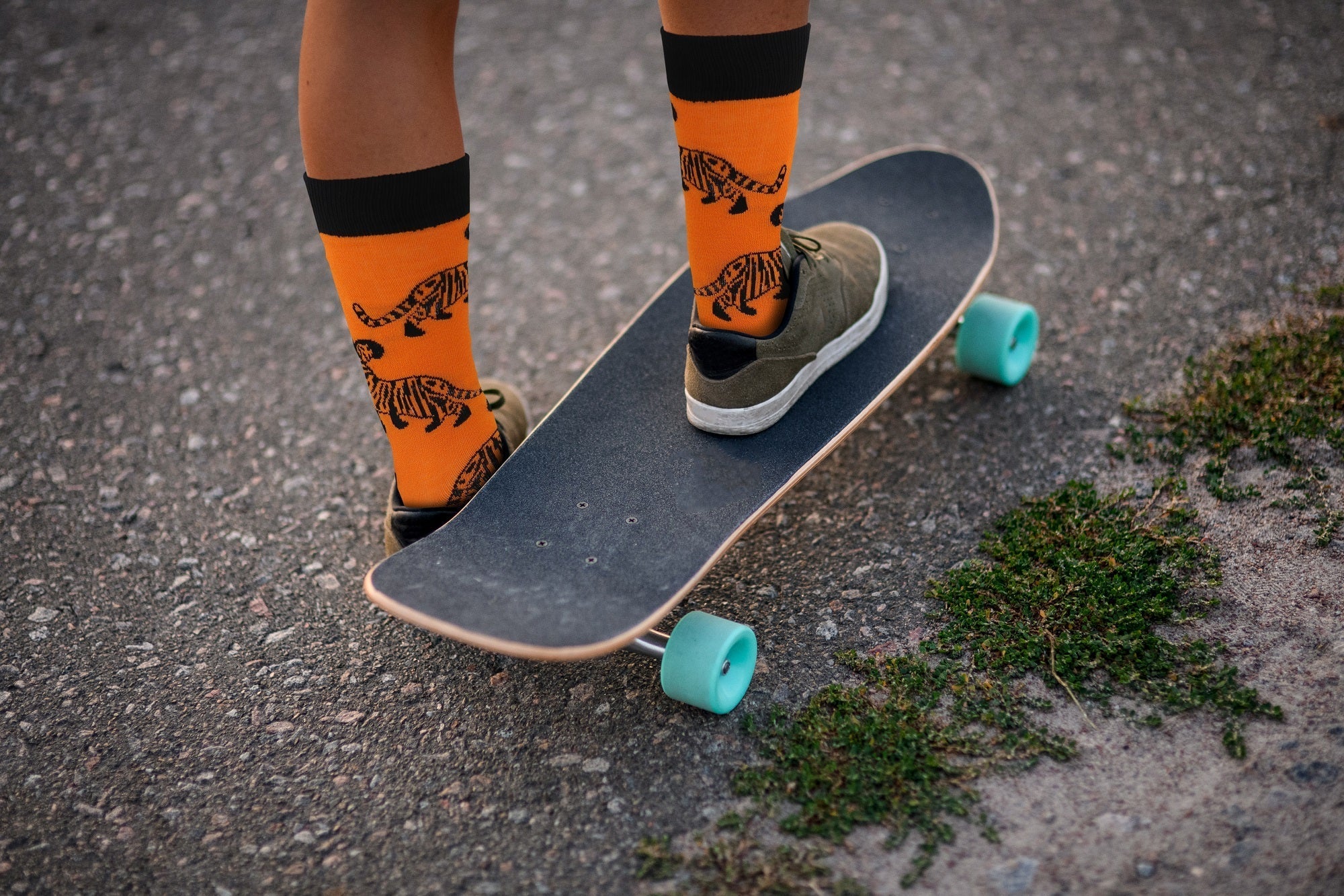 Ancient Tiger Socks - Comfy Cotton Socks for Men & Women