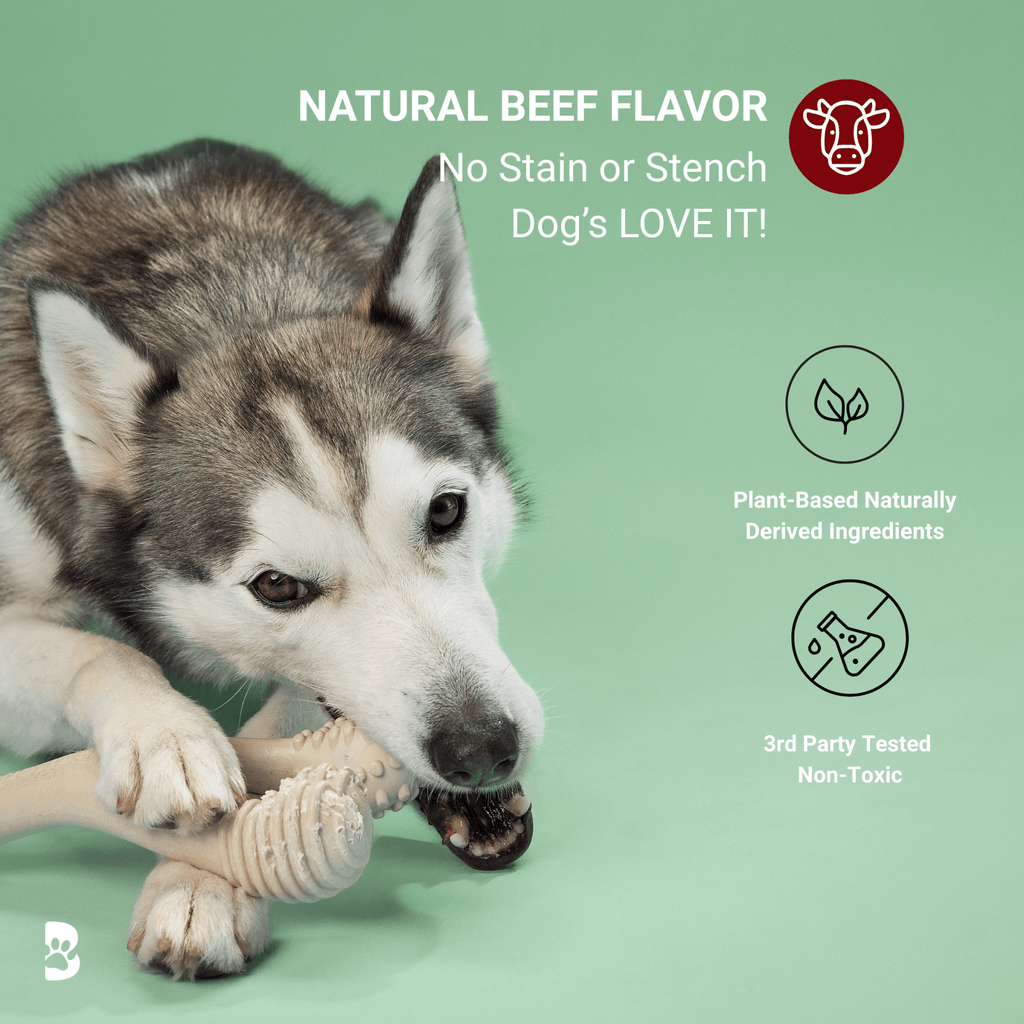 BetterBone MODERATE Chew Toy