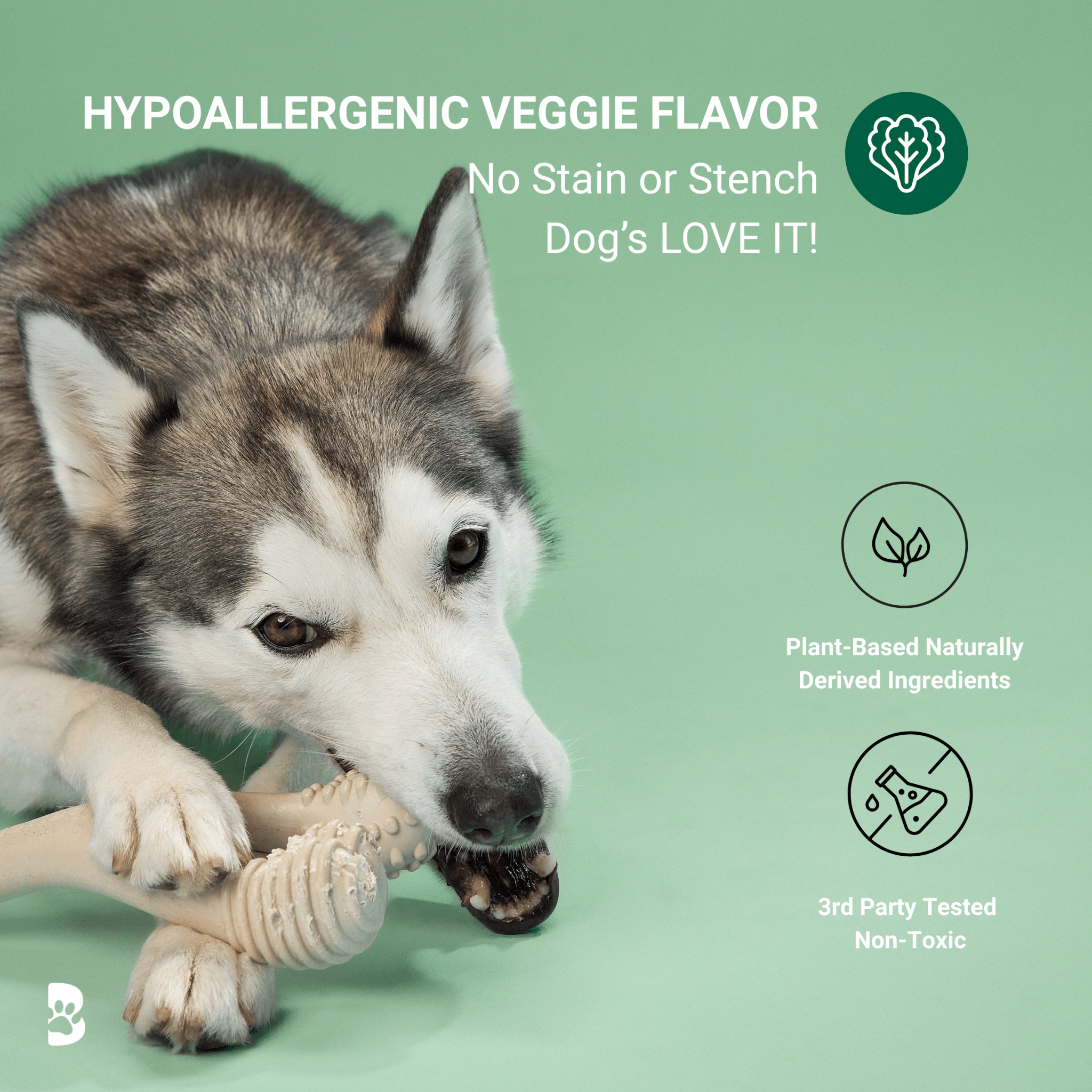 BetterBone MODERATE Chew Toy