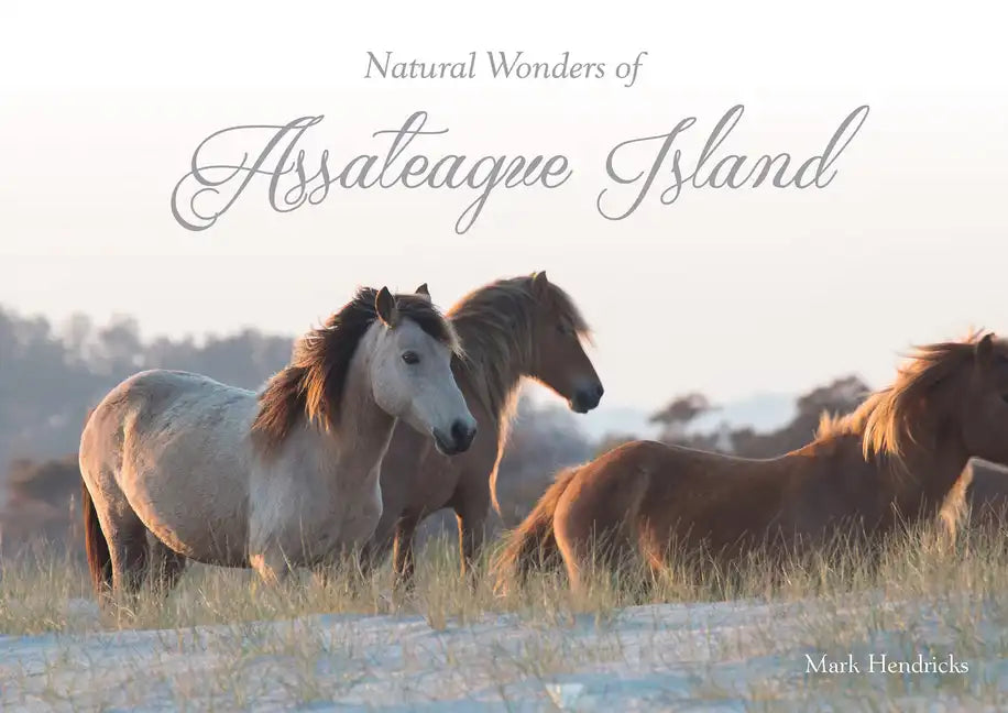 Natural Wonders of Assateague Island - Hardcover