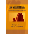 How Should I Pray?: Principles for Powerful Prayer - Paperback