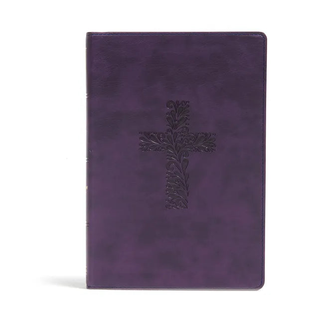 KJV Rainbow Study Bible, Purple Leathertouch - Imitation Leather