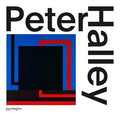 Peter Halley: Paintings of the 1980s: The Catalogue Raisonné - Hardcover