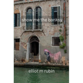 show me the banksy: and other poems - Paperback