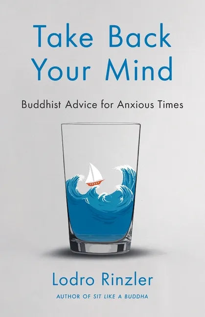 Take Back Your Mind: Buddhist Advice for Anxious Times: Buddhist Advice for Anxious Times - Paperback