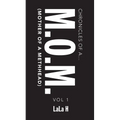 Chronicles of a M.O.M.: (Mother of a Methhead) - Paperback