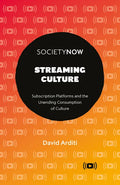 Streaming Culture: Subscription Platforms and the Unending Consumption of Culture - Paperback