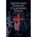 Satisfying Thirsts, Cleansing Souls: Eight Years in Haiti - Paperback