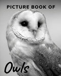 Picture Book of Owls: The Picture Book for Alzheimer's Patients and Seniors with Dementia. - Paperback