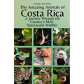 The Amazing Animals of Costa Rica: A Journey Through the Country's Most Spectacular Wildlife - Paperback