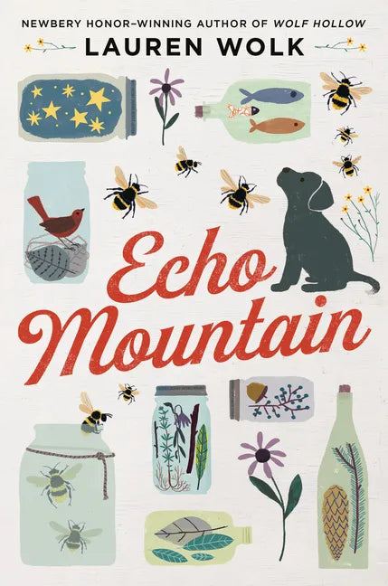 Echo Mountain - Hardcover
