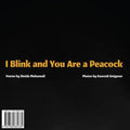 I Blink and You Are a Peacock: Ta Pelkam Mojeh Mizanad, Tavoos Mishavi - Paperback