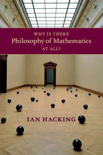 Why Is There Philosophy of Mathematics at All? - Paperback