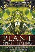 Plant Spirit Healing: A Guide to Working with Plant Consciousness - Paperback