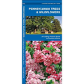 Pennsylvania Trees & Wildflowers: A Folding Pocket Guide to Familiar Plants - Hardcover
