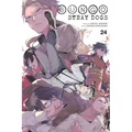 Bungo Stray Dogs, Vol. 24: Volume 24 - Paperback