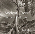 Ancient Trees: Portraits of Time - Hardcover