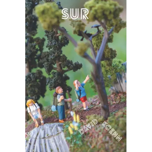 Sur - Paperback