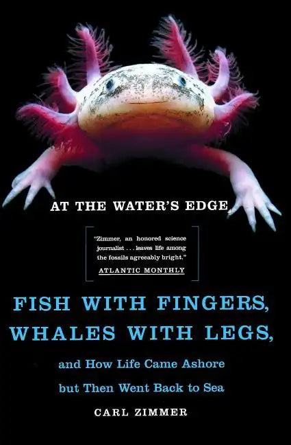 At the Water's Edge: Fish with Fingers, Whales with Legs, and How Life Came Ashore But Then Went Back to Sea - Paperback
