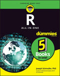 R All-In-One for Dummies - Paperback