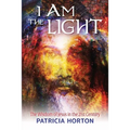I Am the Light: The Wisdom of Jesus in the 21st Century - Paperback