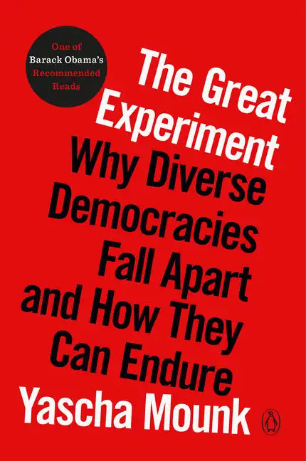 The Great Experiment: Why Diverse Democracies Fall Apart and How They Can Endure - Paperback