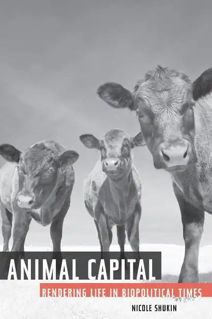 Animal Capital: Rendering Life in Biopolitical Times Volume 6 - Paperback