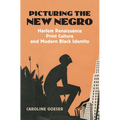 Picturing the New Negro: Harlem Renaissance Print Culture and Modern Black Identity - Hardcover
