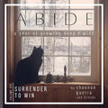 Surrender to Win - Paperback