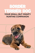 Border Terrier Dog: Your Small but Mighty Hunting Companion: Border Terrier Breed Info, Pictures, Facts and Care Guide - Paperback