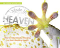 Made in Heaven: Man's Indiscriminate Stealing of God's Amazing Design - Hardcover