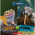 Gecko or Komodo Dragon (Wild World: Pets and Wild Animals) - Paperback