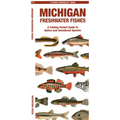 Michigan Freshwater Fishes - Paperback