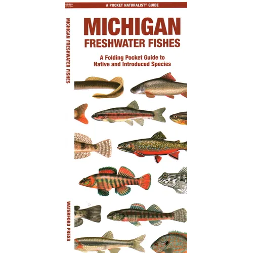Michigan Freshwater Fishes - Paperback