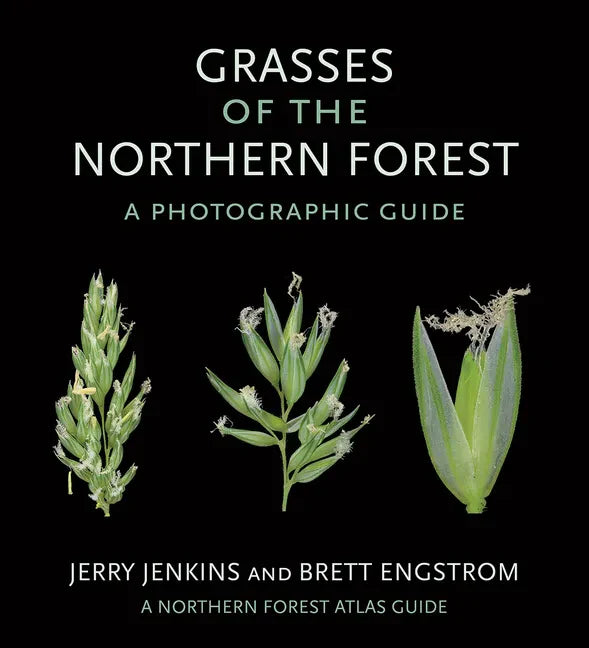 Grasses of the Northern Forest: A Photographic Guide - Paperback