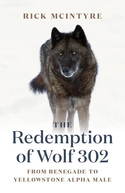 The Redemption of Wolf 302: From Renegade to Yellowstone Alpha Male - Hardcover