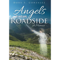 Angels By The Roadside: A Memoir - Hardcover