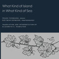 What Kind of Island in What Kind of Sea? - Paperback