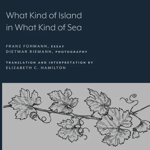 What Kind of Island in What Kind of Sea? - Paperback
